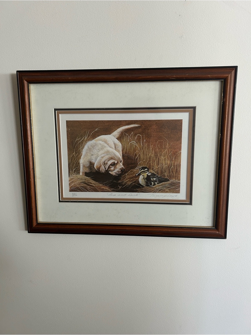 Framed Dog & Bird Print in Brown Wood Frame